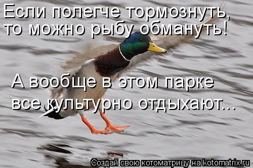 Если полегче тормознуть, то можно рыбу обмануть! А вообще в этом парке все культурно отдыхают...... Котоматрица: Если полегче тормознуть, то можно рыбу обмануть! А вообще в этом парке все культурно отдыхают...