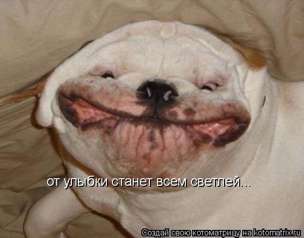 от улыбки станет всем светлей...... Котоматрица: от улыбки станет всем светлей...