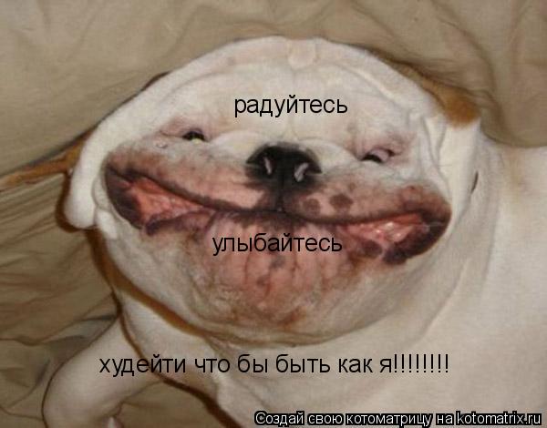 улыбайтесь радуйтесь худейти что бы быть как я!!!!!!!!... Котоматрица: улыбайтесь радуйтесь худейти что бы быть как я!!!!!!!!