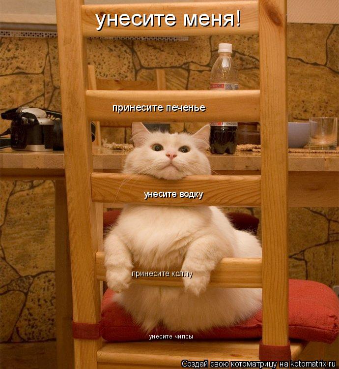 унесите чипсы принесите коллу унесите водку принесите печенье унесите меня!... Котоматрица: унесите чипсы принесите коллу унесите водку принесите печенье унесите меня!