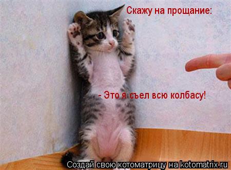 Скажу на прощание: - Это я съел всю колбасу!... Котоматрица: Скажу на прощание: - Это я съел всю колбасу!