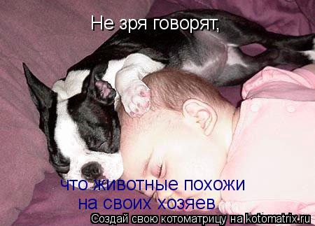 Не зря говорят, что животные похожи на своих хозяев... Котоматрица: Не зря говорят, что животные похожи на своих хозяев