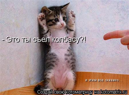 - Это ты съел колбасу?! и этим все сказано...... Котоматрица: - Это ты съел колбасу?! и этим все сказано...