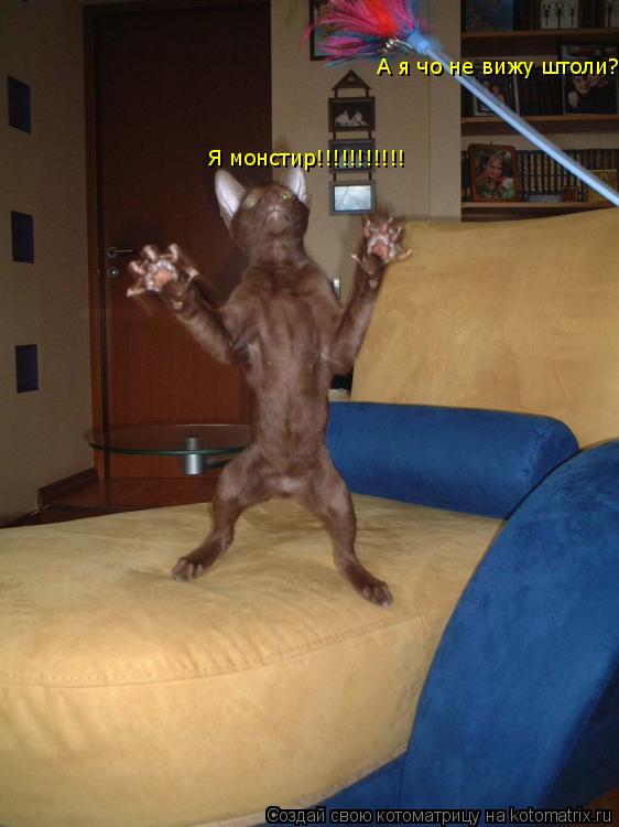 Я монстир!!!!!!!!!!! А я чо не вижу штоли?... Котоматрица: Я монстир!!!!!!!!!!! А я чо не вижу штоли?