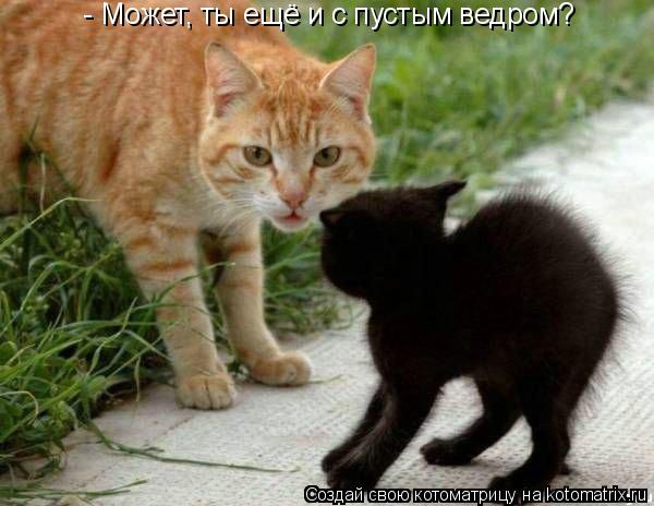 - Может, ты ещё и с пустым ведром?... Котоматрица: - Может, ты ещё и с пустым ведром?