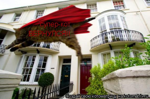 супер-кот ВЕРНУЛСЯ!!... Котоматрица: супер-кот ВЕРНУЛСЯ!!