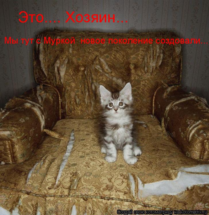 Это.... Хозяин... Мы тут с Муркой новое поколение создовали...... Котоматрица: Это.... Хозяин... Мы тут с Муркой новое поколение создовали...