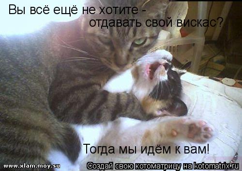 Вы всё ещё не хотите - отдавать свой вискас? Тогда мы идём к вам!... Котоматрица: Вы всё ещё не хотите - отдавать свой вискас? Тогда мы идём к вам!