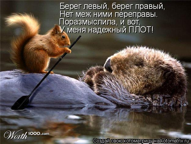 Берег левый, берег правый, Нет меж ними переправы. Поразмыслила, и вот, У меня надежный ПЛОТ!... Котоматрица: Берег левый, берег правый, Нет меж ними переправы. Поразмыслила, и вот, У меня надежный ПЛОТ!