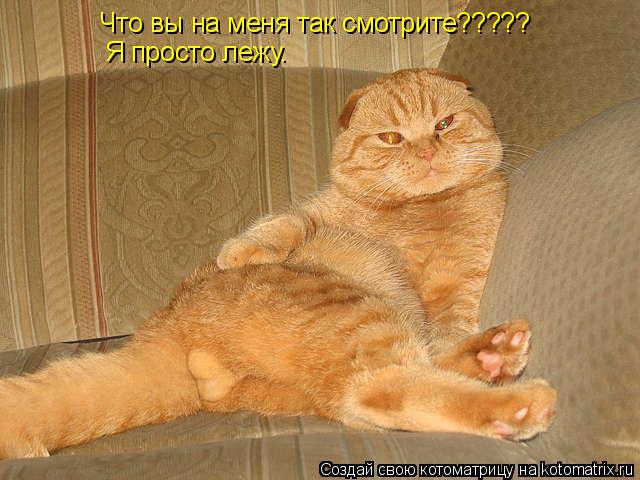 Что вы на меня так смотрите????? Я просто лежу.... Котоматрица: Что вы на меня так смотрите????? Я просто лежу.