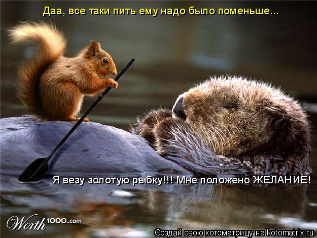 Я везу золотую рыбку!!! Мне положено ЖЕЛАНИЕ! Даа, все таки пить ему надо было поменьше...... Котоматрица: Я везу золотую рыбку!!! Мне положено ЖЕЛАНИЕ! Даа, все таки пить ему надо было поменьше...