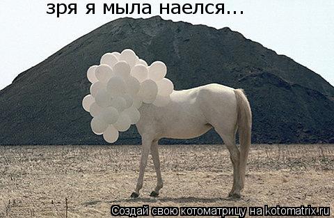зря я мыла наелся...... Котоматрица: зря я мыла наелся...