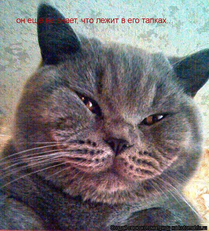 он ещё не знает, что лежит в его тапках...... Котоматрица: он ещё не знает, что лежит в его тапках...