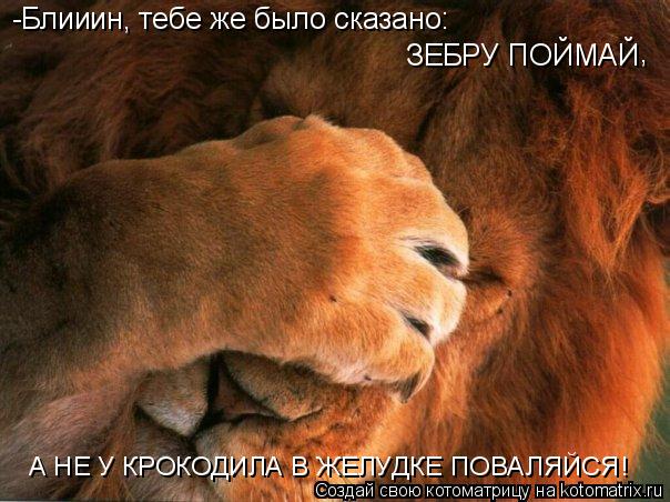 -Блииин, тебе же было сказано: ЗЕБРУ ПОЙМАЙ , А НЕ У КРОКОДИЛА В ЖЕЛУДКЕ ПОВАЛЯЙСЯ!... Котоматрица: -Блииин, тебе же было сказано: ЗЕБРУ ПОЙМАЙ , А НЕ У КРОКОДИЛА В ЖЕЛУДКЕ ПОВАЛЯЙСЯ!
