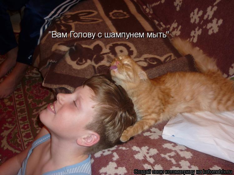 "Вам Голову с шампунем мыть"... Котоматрица: "Вам Голову с шампунем мыть"