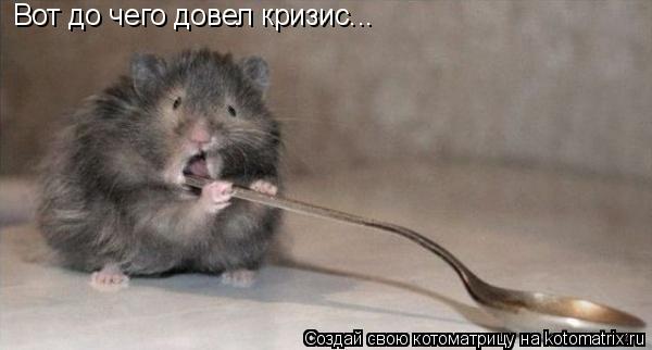 Вот до чего довел кризис...... Котоматрица: Вот до чего довел кризис...