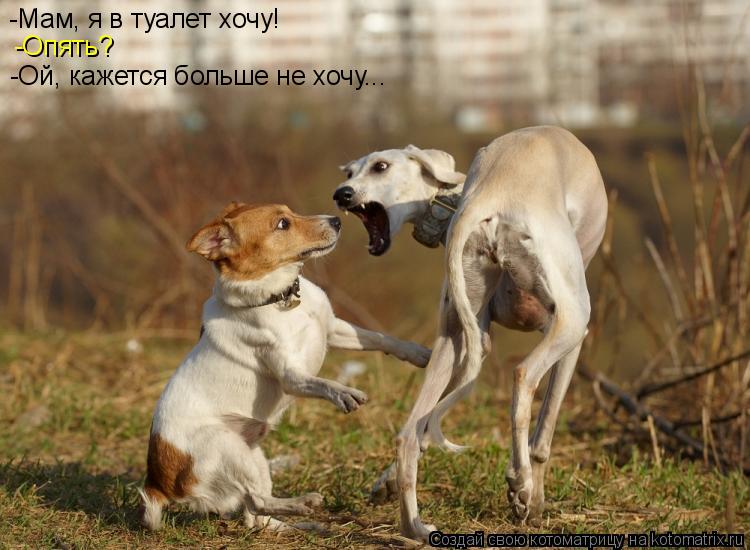 -Мам, я в туалет хочу! -Опять? -Ой, кажется больше не хочу...... Котоматрица: -Мам, я в туалет хочу! -Опять? -Ой, кажется больше не хочу...