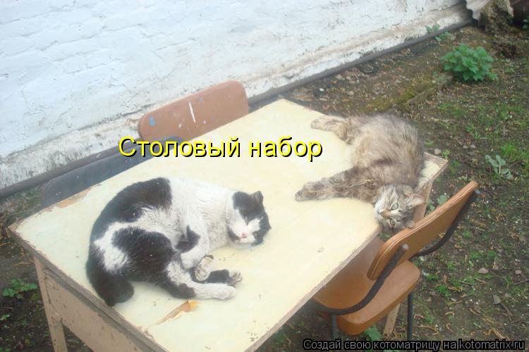 Столовый набор... Котоматрица: Столовый набор