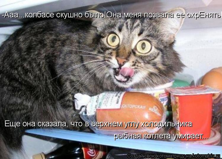 Котоматрица: -Ааа...колбасе скушно было!Она меня позвала ее охрЕнять! Еще она сказала, что в верхнем углу холодильника рыбная котлета умирает...