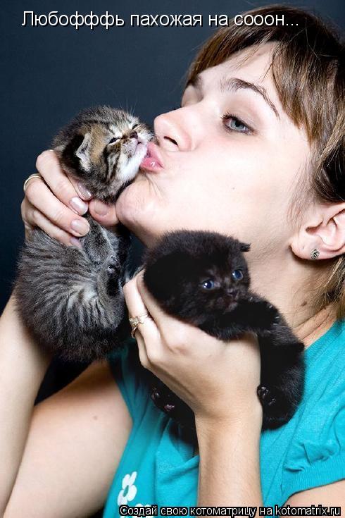 Котоматрица: Любофффь пахожая на сооон...