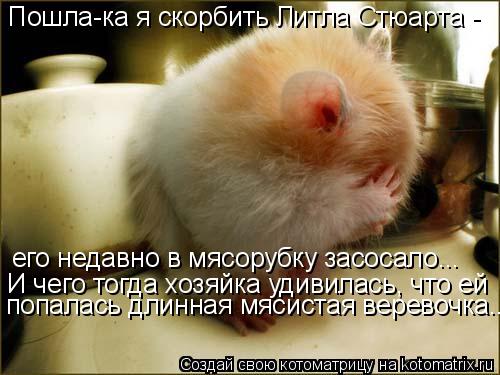 Котоматрица: Пошла-ка я скорбить Литла Стюарта - его недавно в мясорубку засосало... И чего тогда хозяйка удивилась, что ей попалась длинная мясистая вере
