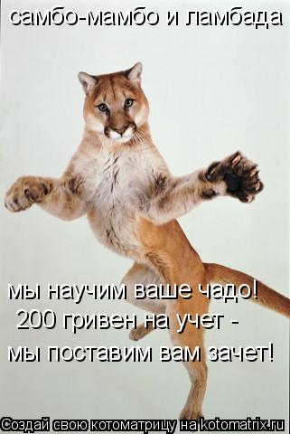 Котоматрица: самбо-мамбо и ламбада - мы научим ваше чадо! 200 гривен на учет - мы поставим вам зачет!