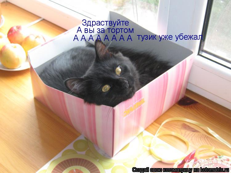 Котоматрица: Здраствуйте А вы за тортом А А А А А А А А  тузик уже убежал