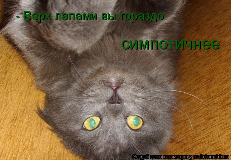 Котоматрица: - Верх лапами вы гораздо симпотичнее