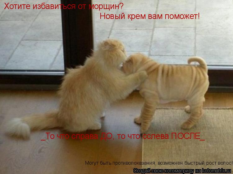 Хотите избавиться от морщин? Новый крем вам поможет! _То что справа ДО, то что сслева ПОСЛЕ_ Могут ... Котоматрица: Хотите избавиться от морщин? Новый крем вам поможет! _То что справа ДО, то что сслева ПОСЛЕ_ Могут быть противопоказания, возможнен быстрый