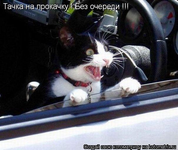 Тачка на прокачку ! Без очереди !!!... Котоматрица: Тачка на прокачку ! Без очереди !!!