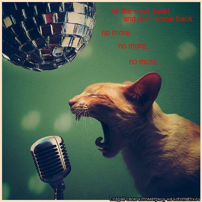 hit the road Jack! and dont come back no more... no more... no more...... Котоматрица: hit the road Jack! and dont come back no more... no more... no more...