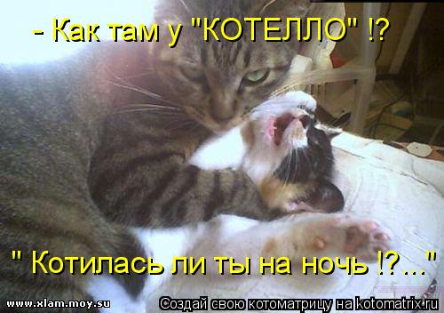 - Как там у "КОТЕЛЛО" !? " Котилась ли ты на ночь !?..."... Котоматрица: - Как там у "КОТЕЛЛО" !? " Котилась ли ты на ночь !?..."