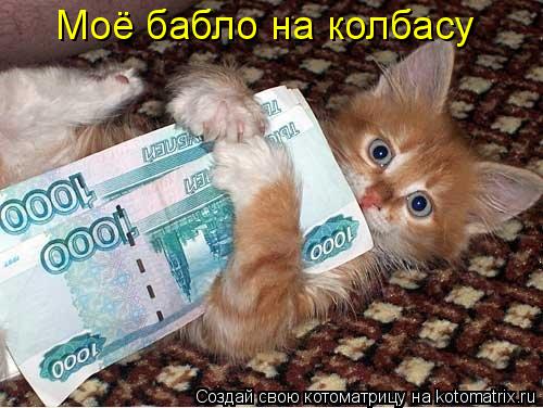 Котоматрица: Моё бабло на колбасу