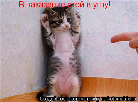 Котоматрица: В наказание стой в углу!