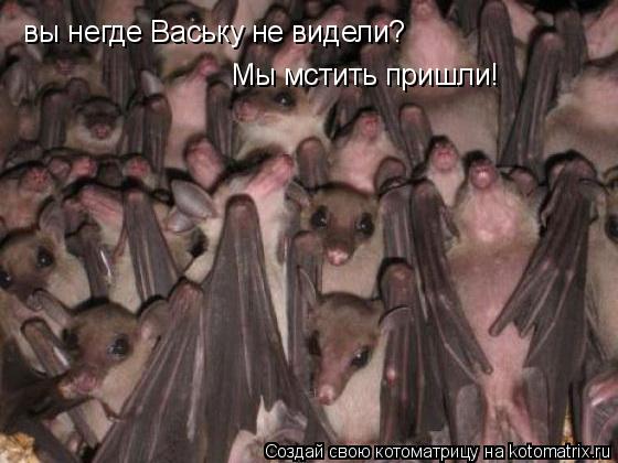 вы негде Ваську не видели? Мы мстить пришли!... Котоматрица: вы негде Ваську не видели? Мы мстить пришли!