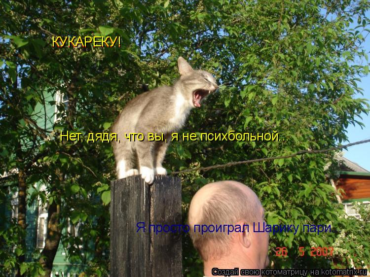 КУКАРЕКУ! Нет, дядя, что вы, я не психбольной... КУКАРЕКУ! Я просто проиграл Шарику пари...... Котоматрица: КУКАРЕКУ! Нет, дядя, что вы, я не психбольной... КУКАРЕКУ! Я просто проиграл Шарику пари...