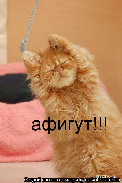 афигут!!!... Котоматрица: афигут!!!