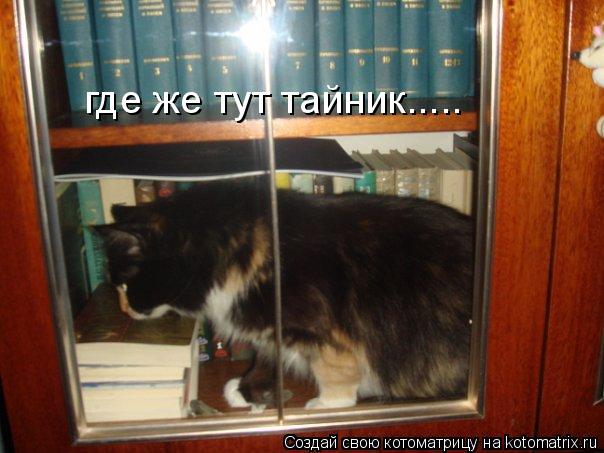 где же тут тайник........ Котоматрица: где же тут тайник.....