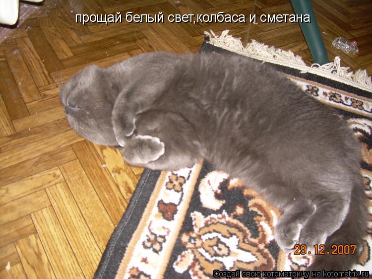 прощай белый свет,колбаса и сметана... Котоматрица: прощай белый свет,колбаса и сметана