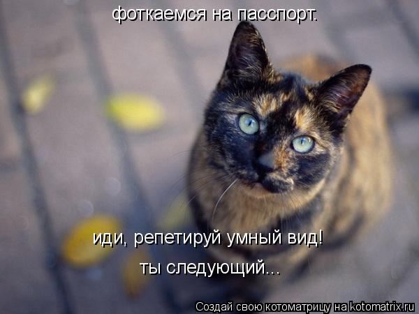 фоткаемся на пасспорт. иди, репетируй умный вид! ты следующий...... Котоматрица: фоткаемся на пасспорт. иди, репетируй умный вид! ты следующий...