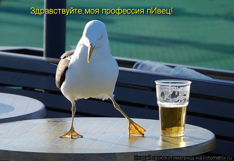 Здравствуйте,моя профессия пИвец!... Котоматрица: Здравствуйте,моя профессия пИвец!