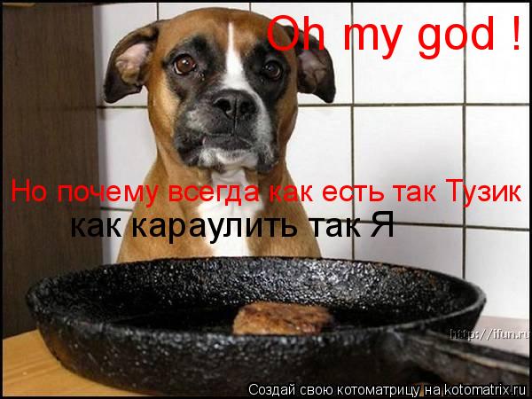 Oh my god ! Но почему всегда как есть так Тузик как караулить так Я... Котоматрица: Oh my god ! Но почему всегда как есть так Тузик как караулить так Я