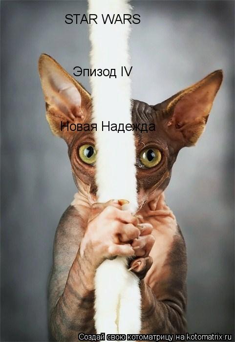 STAR WARS Эпизод IV Новая Надежда... Котоматрица: STAR WARS Эпизод IV Новая Надежда