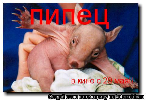 в кино с 29 мая!! пипец... Котоматрица: в кино с 29 мая!! пипец
