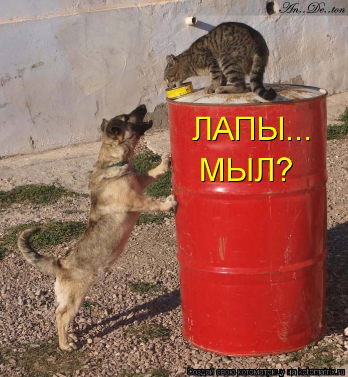 ЛАПЫ... МЫЛ?... Котоматрица: ЛАПЫ... МЫЛ?