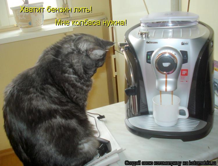 Хватит бензин лить! Мне колбаса нужна!... Котоматрица: Хватит бензин лить! Мне колбаса нужна!