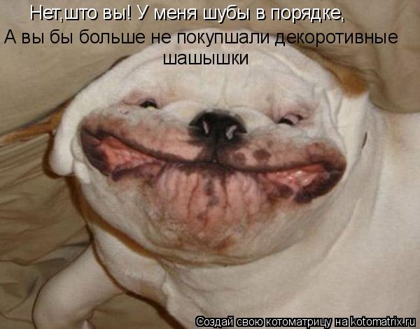 Нет,што вы! У меня шубы в порядке, А вы бы больше не покупшали декоротивные шашышки... Котоматрица: Нет,што вы! У меня шубы в порядке, А вы бы больше не покупшали декоротивные шашышки