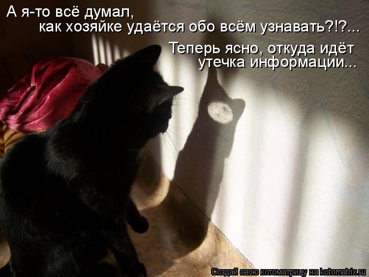 Котоматрица: А я-то всё думал, Теперь ясно, откуда идёт  утечка информации... как хозяйке удаётся обо всём узнавать?!?...