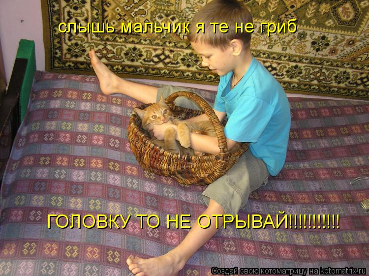 слышь мальчик я те не гриб ГОЛОВКУ ТО НЕ ОТРЫВАЙ!!!!!!!!!!!... Котоматрица: слышь мальчик я те не гриб ГОЛОВКУ ТО НЕ ОТРЫВАЙ!!!!!!!!!!!