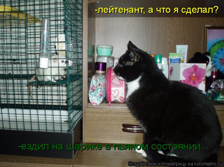 -лейтенант, а что я сделал? -ездил на шарике в пьяном состоянии.... Котоматрица: -лейтенант, а что я сделал? -ездил на шарике в пьяном состоянии.